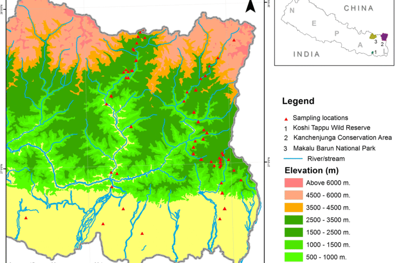 Amphibian community structure along elevation gradients in eastern Nepal Himalaya | BMC Ecology | Full Text